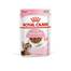 ROYAL CANIN KITTEN STERILISED GRAVY - ivartalnított kölyökmacska szószos nedves táp 85g