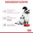ROYAL CANIN BABYCAT INSTINCTIVE - kölyök macska pépes nedves táp 10 12x195g