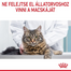 ROYAL CANIN Appetite Control Jelly 85 g felnőtt túlzott étvágyú macskák esetében