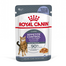 ROYAL CANIN Appetite Control Jelly 85 g felnőtt túlzott étvágyú macskák esetében