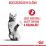 ROYAL CANIN Appetite Control Jelly 85 g felnőtt túlzott étvágyú macskák esetében