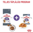 ROYAL CANIN Appetite Control Jelly 85 g felnőtt túlzott étvágyú macskák esetében