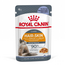 ROYAL CANIN HAIR & SKIN CARE JELLY - szószos nedves táp felnőtt macskák részére a szebb szőrzetért és az egészséges bőrért 85g x 12