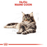 ROYAL CANIN MAINE COON ADULT - Maine Coon felnőtt macska száraz táp 0,4 kg