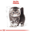 ROYAL CANIN PERSIAN KITTEN - Perzsa kölyök macska száraz táp 0,4 kg