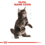 ROYAL CANIN MAINE COON KITTEN - Maine Coon kölyök macska száraz táp 0,4 kg