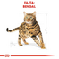 ROYAL CANIN BENGAL ADULT - Bengáli felnőtt macska száraz táp 0,4 kg