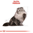ROYAL CANIN Persian Adult 85g pástétom felnőtt perzsa macskák esetében