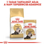ROYAL CANIN Persian Adult 85g pástétom felnőtt perzsa macskák esetében