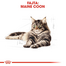 ROYAL CANIN MAINE COON ADULT - Maine Coon felnőtt macska nedves táp 85g x6
