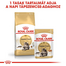 ROYAL CANIN MAINE COON ADULT - Maine Coon felnőtt macska nedves táp 85g x6