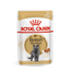 ROYAL CANIN BRITISH SHORTHAIR ADULT - Brit rövidszörű felnőtt macska nedves táp 6x85 g