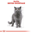 ROYAL CANIN BRITISH SHORTHAIR ADULT - Brit rövidszörű felnőtt macska nedves táp 6x85 g