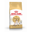 ROYAL CANIN SIAMESE ADULT - Sziámi felnőtt macska száraz táp 4 kg