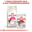 ROYAL CANIN AROMA EXIGENT - válogatós felnőtt macska száraz táp 4 kg