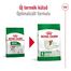 ROYAL CANIN Mini Adult 4kg száraztáp felnőtt kutyáknak, kis ász