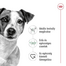 ROYAL CANIN Mini Adult 4kg száraztáp felnőtt kutyáknak, kis ász