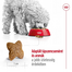 ROYAL CANIN Mini Adult 4kg száraztáp felnőtt kutyáknak, kis ász