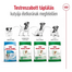 ROYAL CANIN Mini Adult 4kg száraztáp felnőtt kutyáknak, kis ász