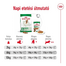 ROYAL CANIN Mini Adult 4kg száraztáp felnőtt kutyáknak, kis ász