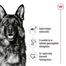 ROYAL CANIN Maxi Adult 4kg száraztáp felnőtt kutyáknak, 5 éves korig, nagytestű fajták