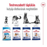 ROYAL CANIN Maxi Adult 4kg száraztáp felnőtt kutyáknak, 5 éves korig, nagytestű fajták