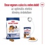 ROYAL CANIN Maxi Adult 4kg száraztáp felnőtt kutyáknak, 5 éves korig, nagytestű fajták