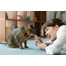 INABA Churu Cat krémes csirke és garnélarák macskaeledel 56 g