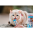 INABA Churu Cat krém macska kezelésére tonhal és fésűkagyló 56 g