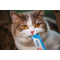 INABA Churu Cat krémes csirke és rák macskaeledel 56 g
