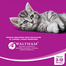 WHISKAS Junior csirke 300 g