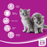 WHISKAS Junior csirke 300 g