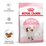 ROYAL CANIN Kitten 3 x 400 g száraztáp 4 és 12 hónapos kor közötti cicáknak