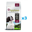 APPLAWS Adult Dog Small Medium Chicken with Lamb 6 kg (3x2 kg) Csirke bárányhússal felnőtt kis és közepes méretű kutyáknak