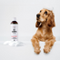 PETS Shampoo Camomile sampon érzékeny bőrre 250 ml
