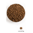 ACANA Adult Small Breed 6 kg