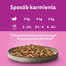 WHISKAS Adult 40x85g Baromfi ízek - macskaeledel zselében (csirkével, kacsával, baromfival, pulykával)