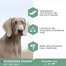 EUKANUBA Daily Care Adult Sensitive Joints 12 kg