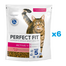 PERFECT FIT Active 1+ 6x750 g marhahúsban gazdag teljes értékű szárazeledel felnőtt macskák számára