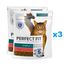 PERFECT FIT Sterile 1+ 6x750 g marhahúsban gazdag száraz teljes értékű macskaeledel