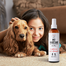 PETS Magic Care hajköd 250 ml