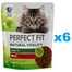 PERFECT FIT Natural Vitality 1+ teljes értékű szárazeledel felnőtt macskáknak marhahússal és csirkével 6x650 g