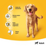 PEDIGREE Adult 1200g teljes értékű nedves eledel felnőtt kutyáknak marhahússal zselében