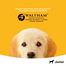 PEDIGREE Junior 400 g nedves teljes értékű eledel növekvő kutyáknak csirkével zselében