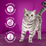 WHISKAS Tasty Mix Kremowe Wariacje z kurczakiem, jagnięciną i indykiem w sosie 12x85g