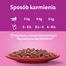 WHISKAS Adult saszetka 85g mokra karma dla dorosłych kotów w sosie z wołowiną