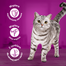 WHISKAS Junior saszetka 85g mokra karma dla kociąt z kurczakiem w galaretce