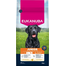EUKANUBA Junior Large Breeds Chicken 15 kg száraz táp fiatal nagytestű kutyáknak friss csirkével