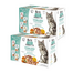 BRIT CARE Fillets in Gravy Box Pouch Sterilized 24x85g sterilizált macskáknak