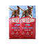 CARNILOVE Active Dog Salmon and Turkey Adult 2x12 kg lazac és pulyka, felnőtt kutyák számára